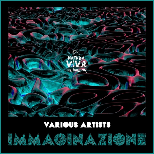 VA - Immaginazione [NATVA018]